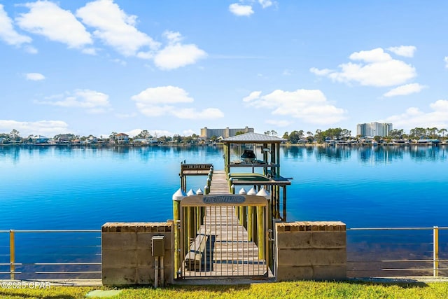 dock area with a water view