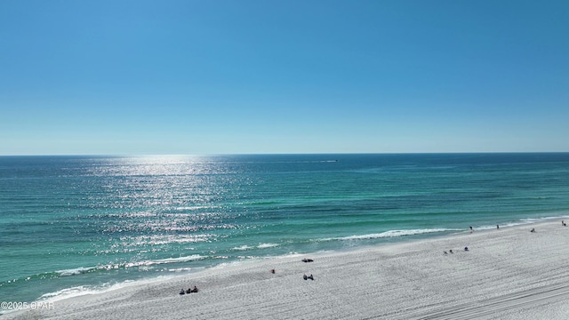 property view of water featuring a beach view