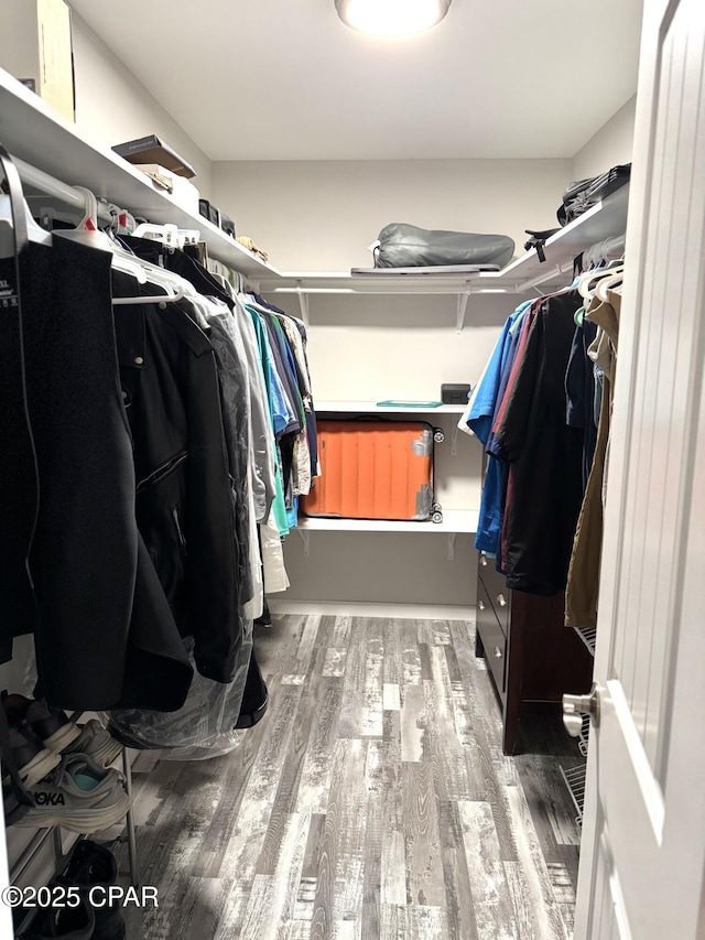 spacious closet with wood finished floors