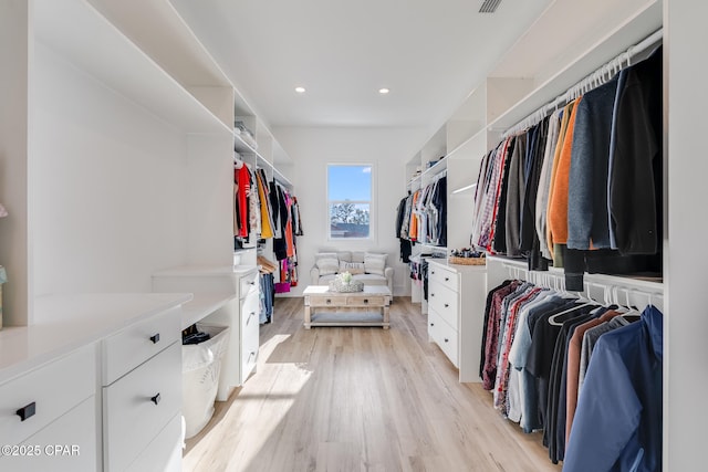 spacious closet with light wood finished floors