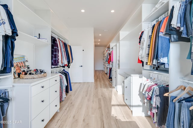 walk in closet featuring light wood-style flooring