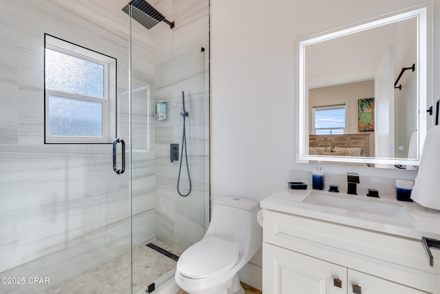 bathroom with toilet, a healthy amount of sunlight, a shower stall, and vanity