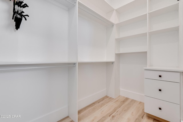 spacious closet featuring light wood-type flooring