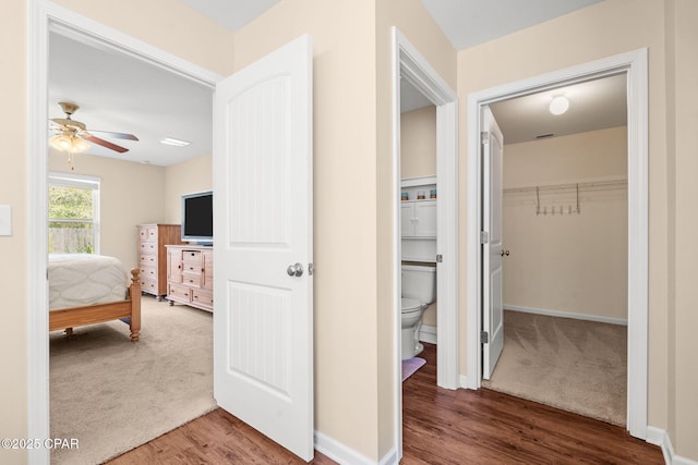 interior space with baseboards, wood finished floors, and carpet flooring