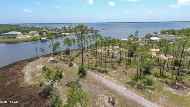 bird's eye view with a water view