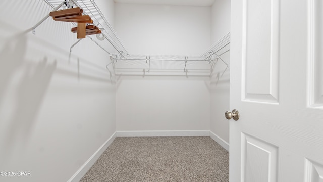 spacious closet with carpet floors