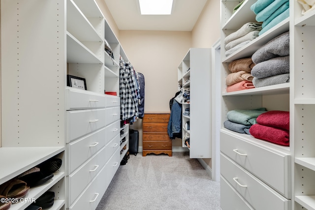 spacious closet featuring light carpet and a skylight