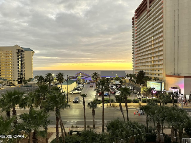 property view of water