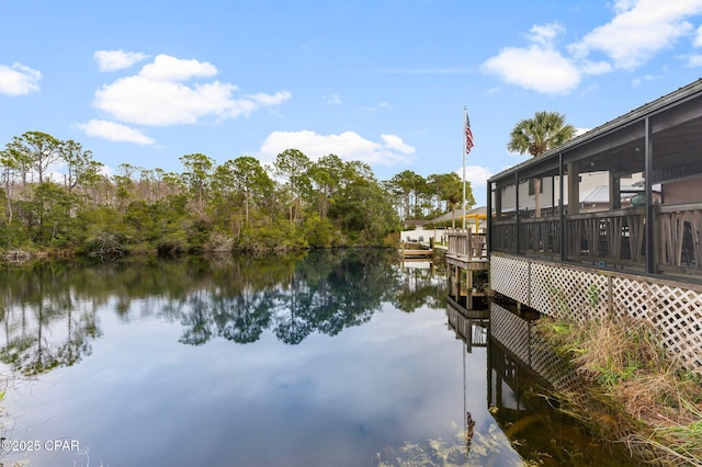 dock area featuring a water view