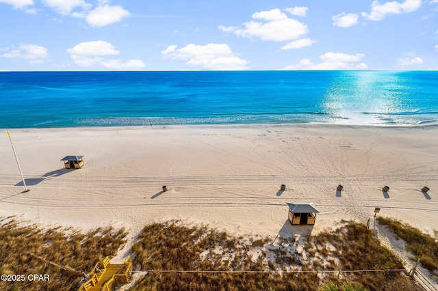 water view featuring a beach view