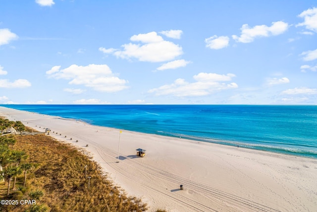 property view of water featuring a beach view