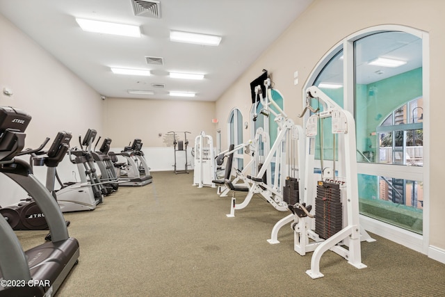 exercise room featuring visible vents and carpet floors