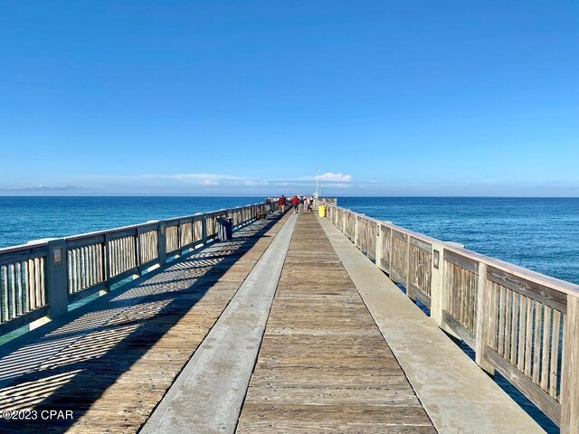 dock area with a water view