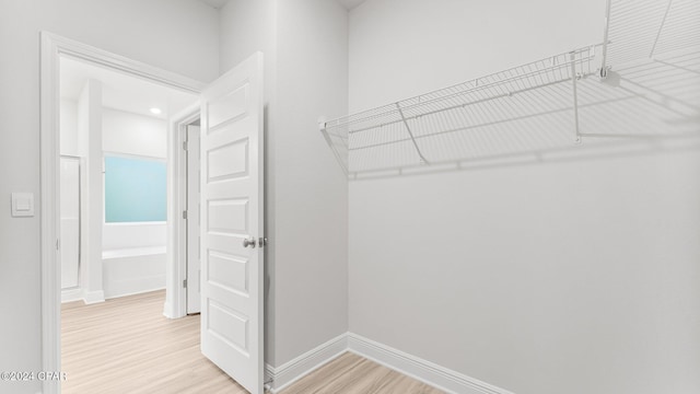 walk in closet with light wood-type flooring