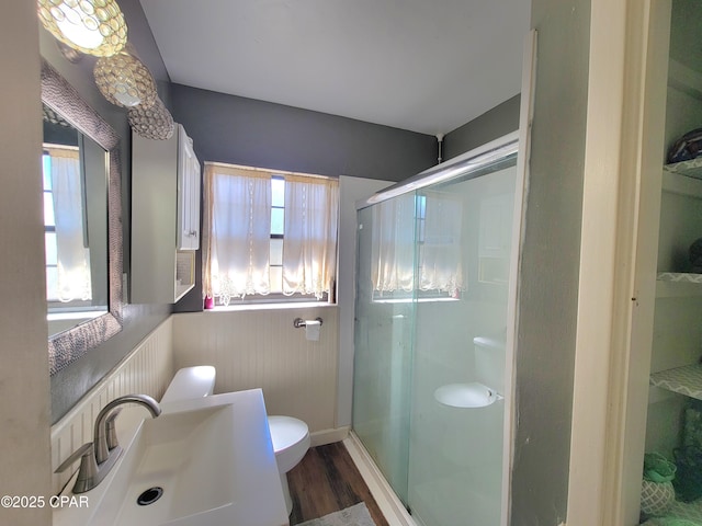 full bathroom featuring toilet, a stall shower, a sink, and a wealth of natural light