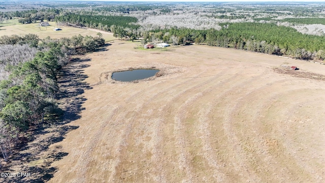 birds eye view of property with a forest view and a rural view