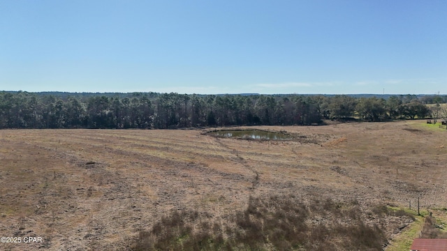 view of nature featuring a water view and a rural view