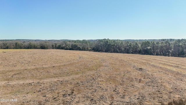 view of landscape featuring a rural view