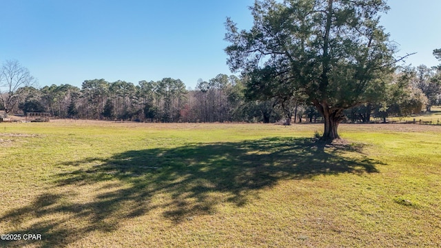 view of yard with a rural view