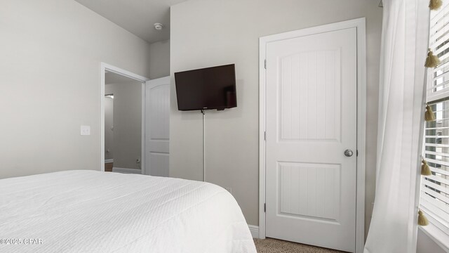 bedroom featuring carpet floors