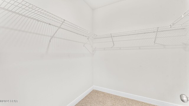 walk in closet with light carpet