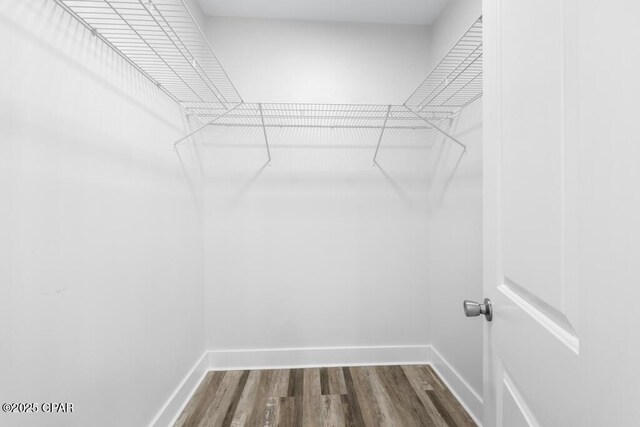 walk in closet with dark wood-style flooring