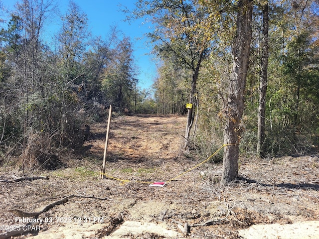 LOT8 NW Womble Rd, Altha FL, 32421 land for sale