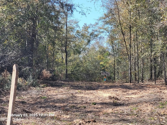 Listing photo 2 for LOT8 NW Womble Rd, Altha FL 32421