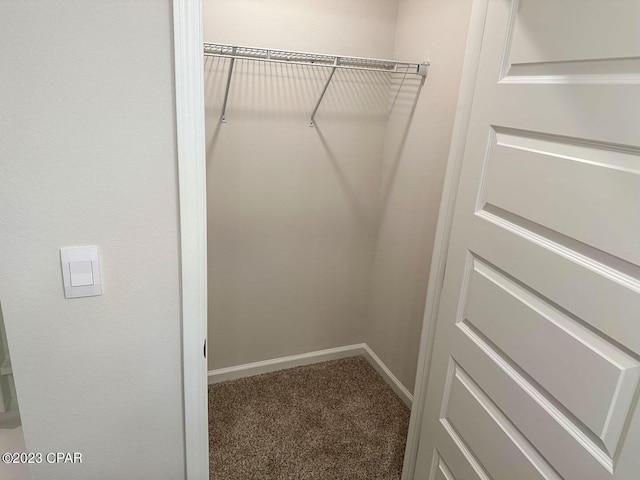 spacious closet featuring carpet floors