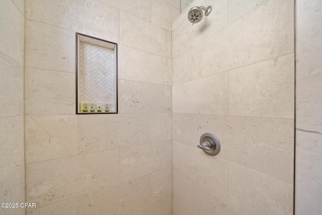 interior details with tiled shower