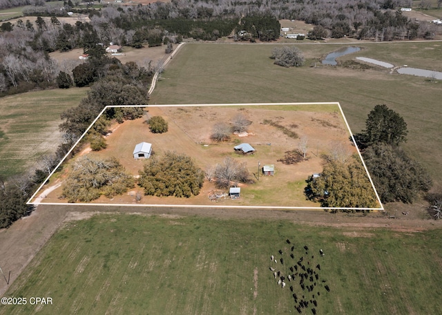 drone / aerial view featuring a rural view