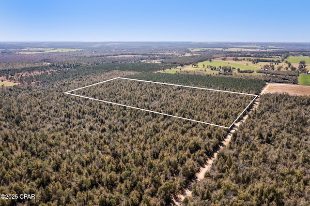 XXX Bush Loop, Marianna FL, 32448 land for sale