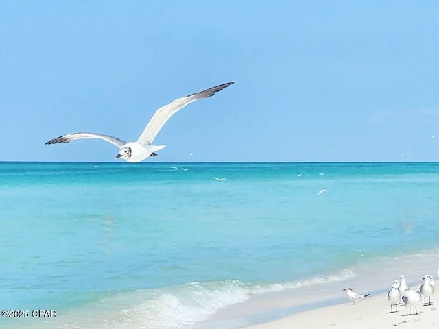 520 Richard Jackson Blvd Unit 3308, Panama City Beach, FL 32407 - view of water feature with a beach view