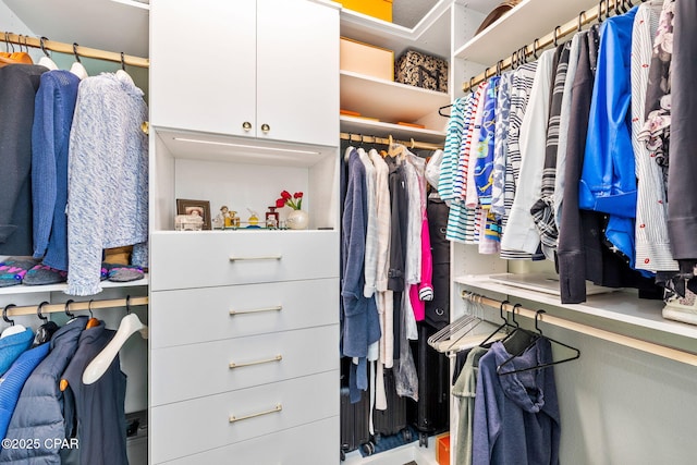view of spacious closet