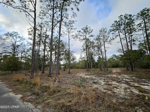 Listing photo 2 for 3358 Fawn Pl, Chipley FL 32428