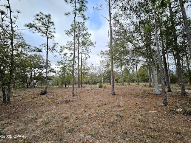 Listing photo 3 for 3358 Fawn Pl, Chipley FL 32428