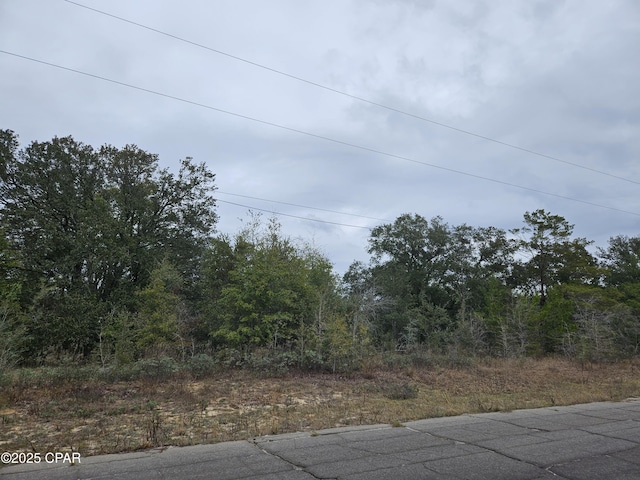 TBD Randolph Dr, Chipley, FL 32428