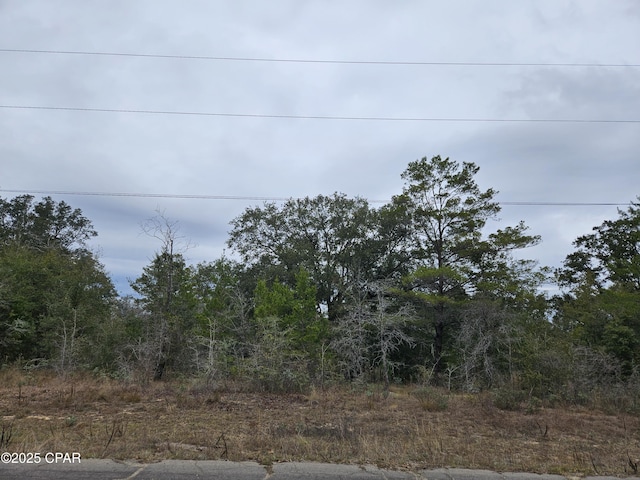 TBD Randolph Dr, Chipley, FL 32428