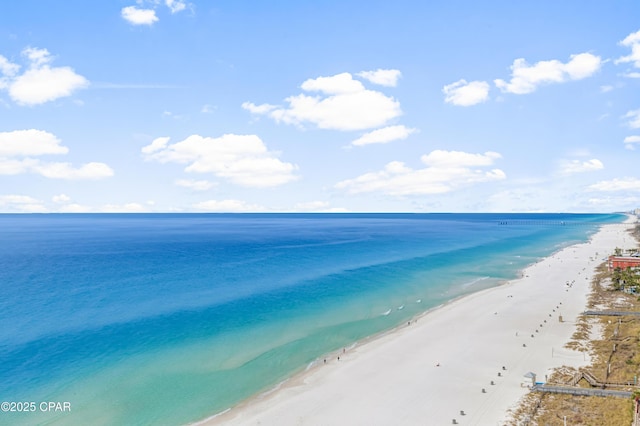 water view featuring a beach view