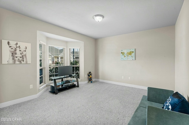 living area with carpet and baseboards