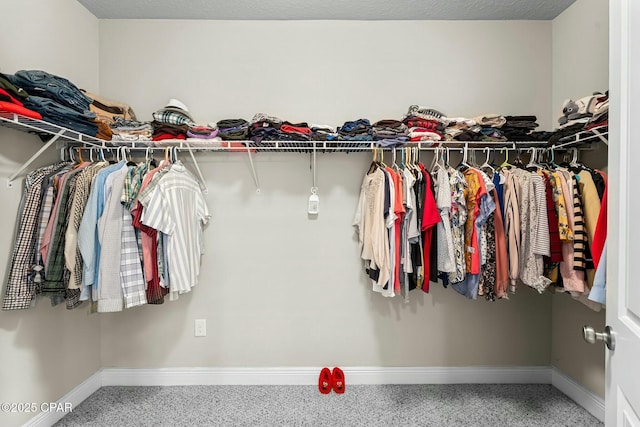 walk in closet featuring carpet