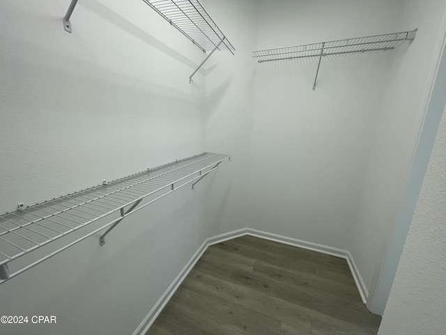 walk in closet with dark wood-type flooring