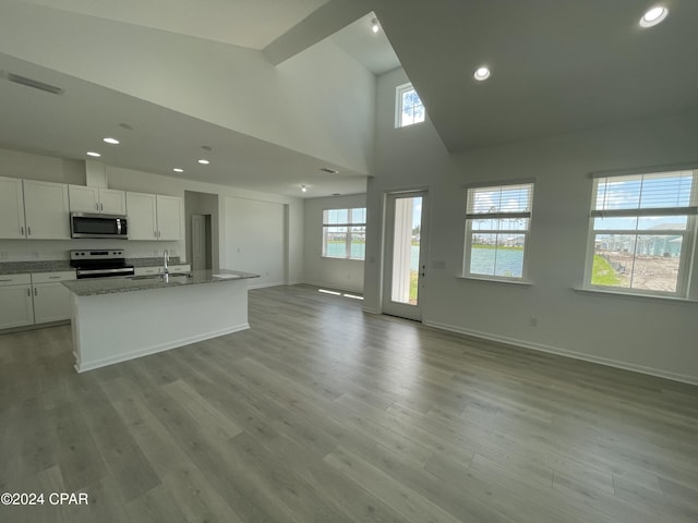 kitchen with open floor plan, stainless steel appliances, light wood finished floors, and a sink