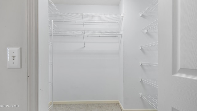 view of spacious closet