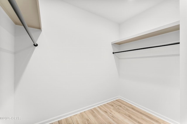 spacious closet featuring light wood-style flooring