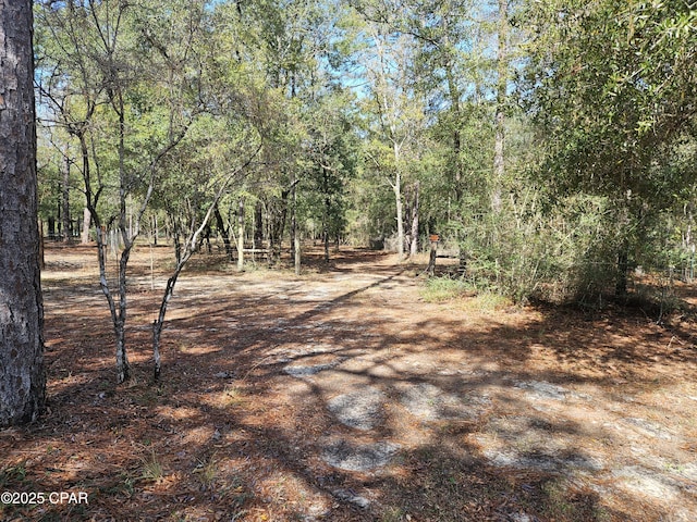 000 Antler Trl, Chipley FL, 32428 land for sale