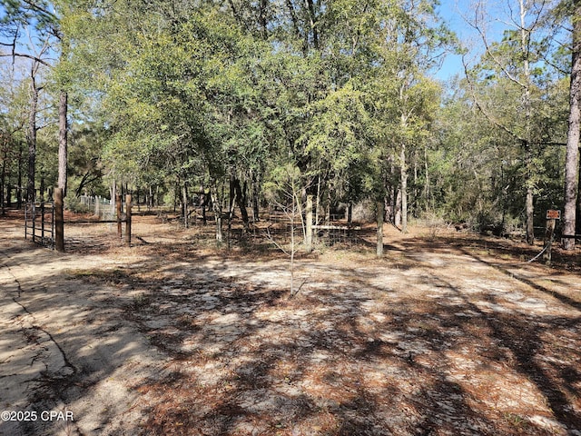 Listing photo 2 for 000 Antler Trl, Chipley FL 32428