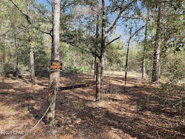 Listing photo 3 for 000 Antler Trl, Chipley FL 32428