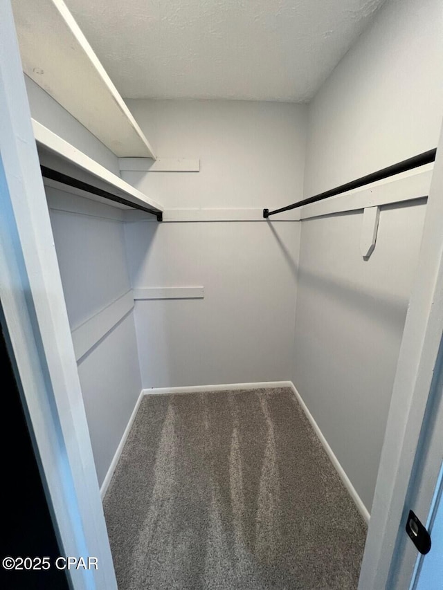 spacious closet with carpet