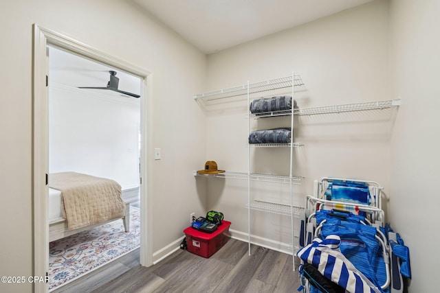 spacious closet featuring wood finished floors